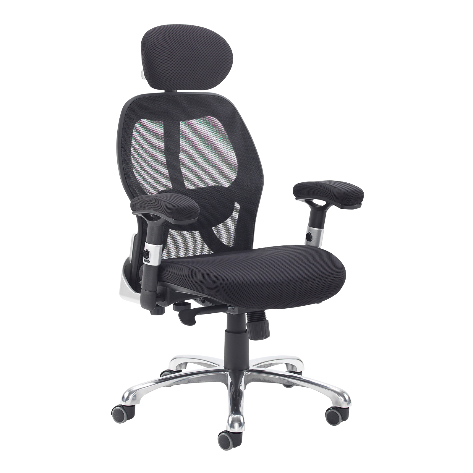 Desk Chairs Sandro mesh back executive chair with black air mesh seat and head rest